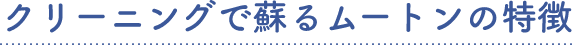 クリーニングで蘇るムートンの特徴